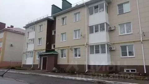 Помещение свободного назначения в Липецкая область, Усмань ул. ... - Фото 1