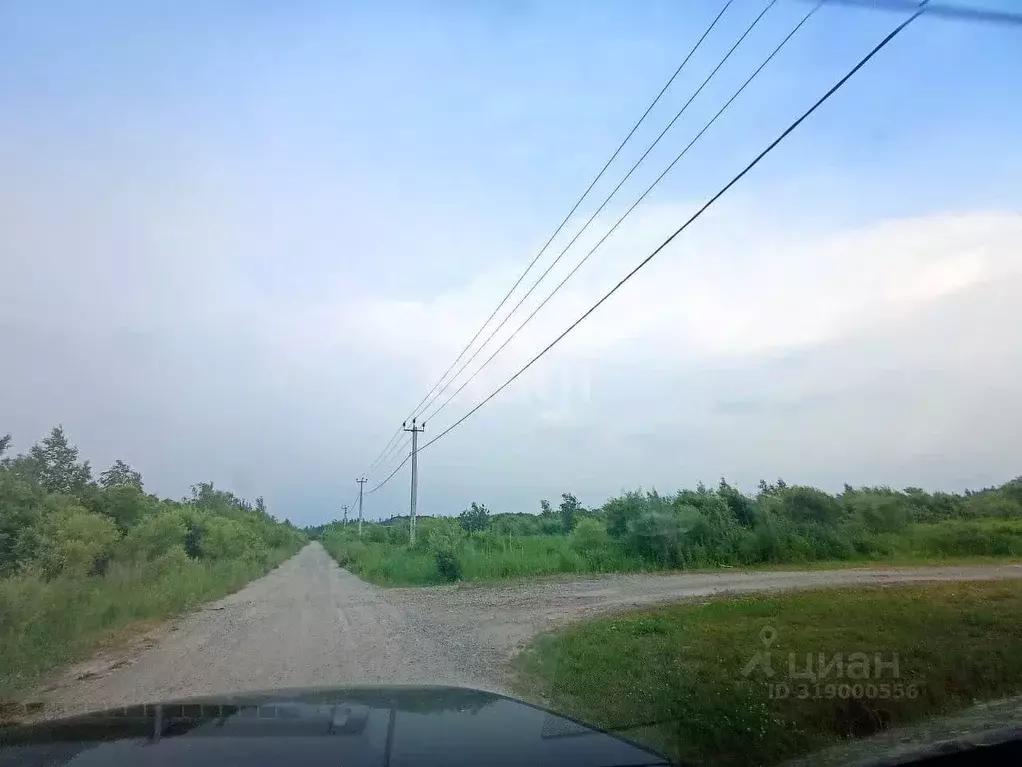 Участок в Хабаровский край, Хабаровский район, с. Мирное Рабочая ул. ... - Фото 1