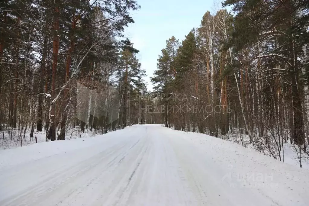 Участок в Тюменская область, Тюмень городской округ, Сосновая Поляна ... - Фото 1