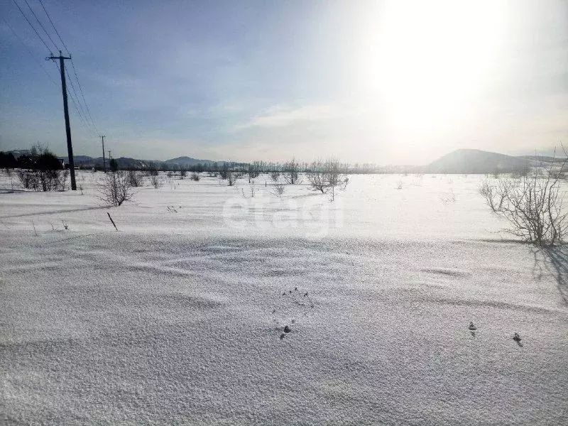 Участок в Алтайский край, Советский район, с. Платово Молодежная ул. ... - Фото 1