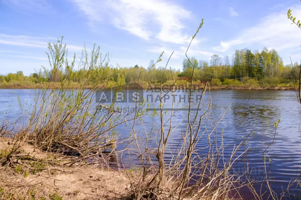 Участок в Новгородская область, Новгородский район, Савинское с/пос, ... - Фото 1