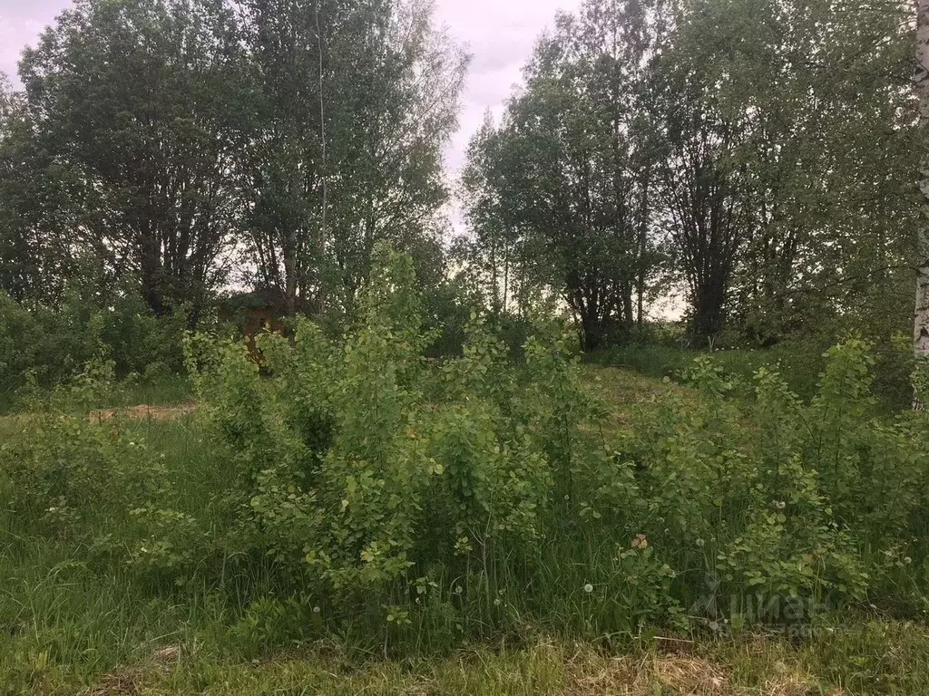 Участок в Московская область, Сергиево-Посадский городской округ, ... - Фото 2