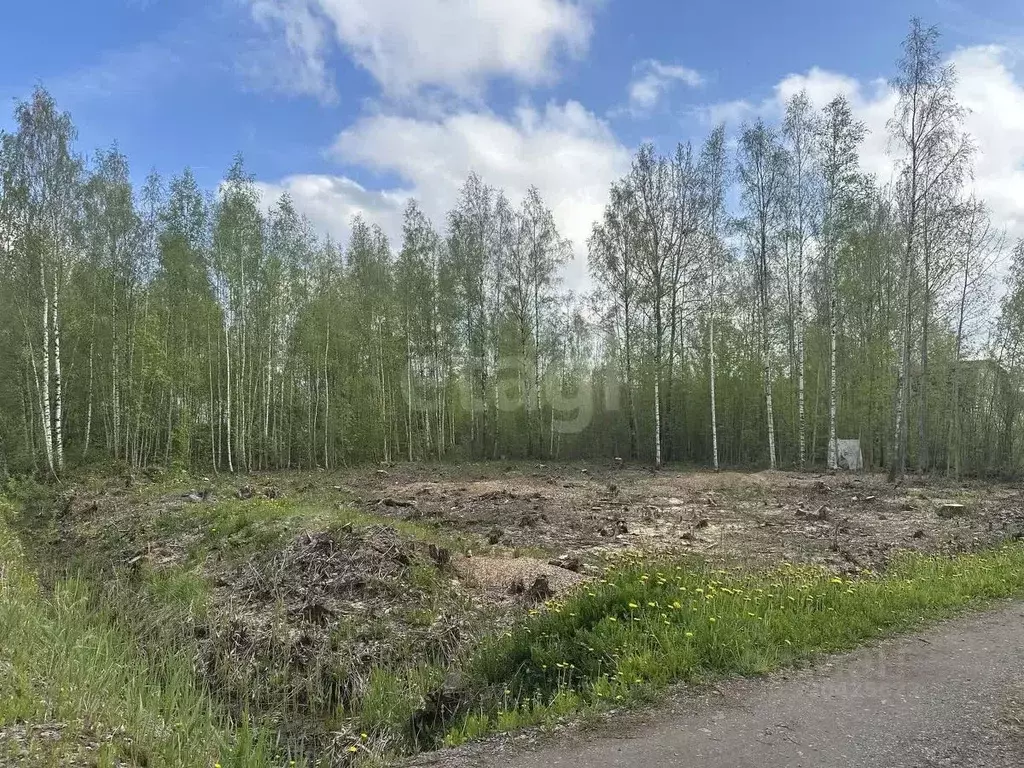 Участок в Ленинградская область, Ломоносовский район, Виллозское ... - Фото 1