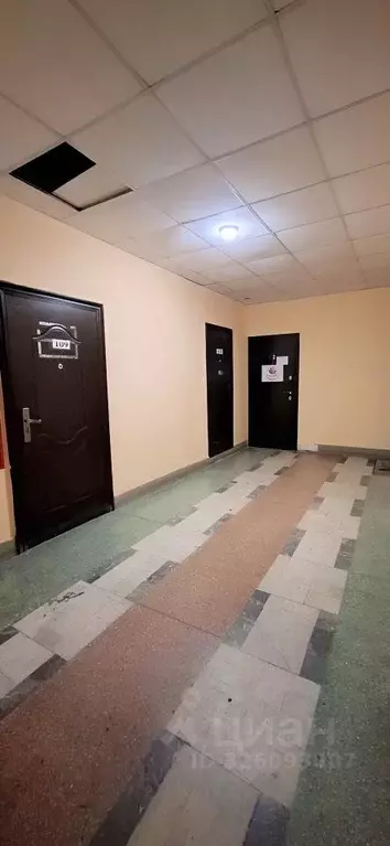 Офис в Новосибирская область, Новосибирск ул. Королева, 40к5 (42 м) - Фото 2