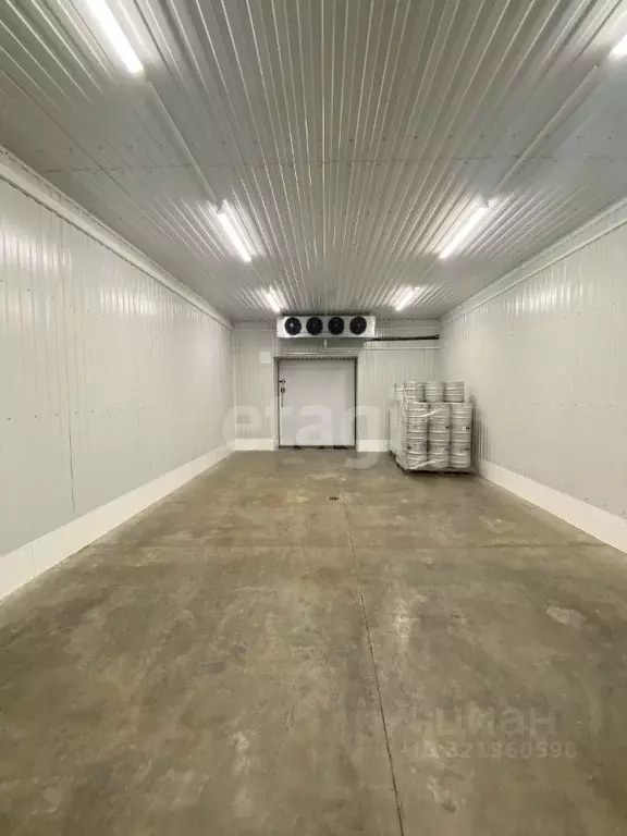 Помещение свободного назначения в Псковская область, Псков ... - Фото 1