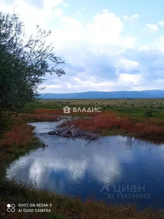 Участок в Бурятия, Иволгинский район, Иволгинское с/пос, с. Верхняя ... - Фото 1
