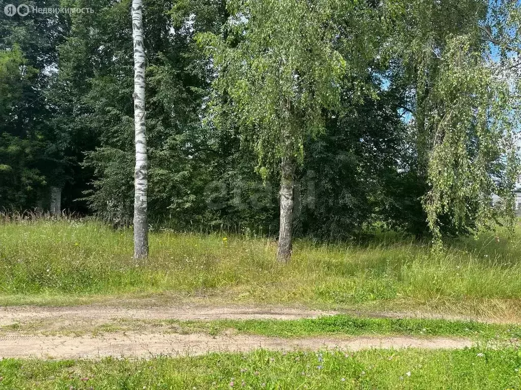Участок в Брянская область, рабочий посёлок Дубровка, улица Ленина ... - Фото 1