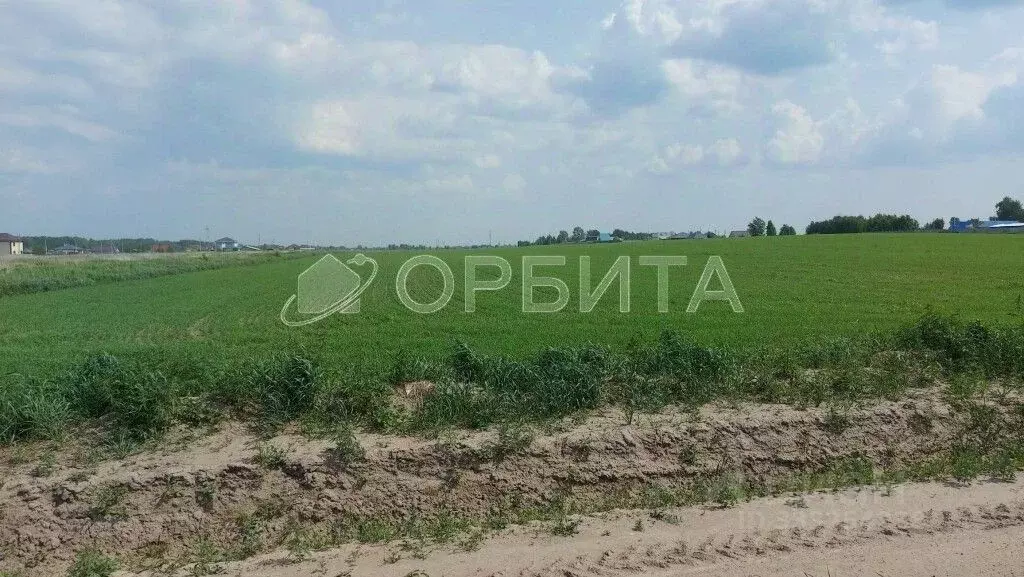 Участок в Тюменская область, Тюменский муниципальный округ, Садовые ... - Фото 1