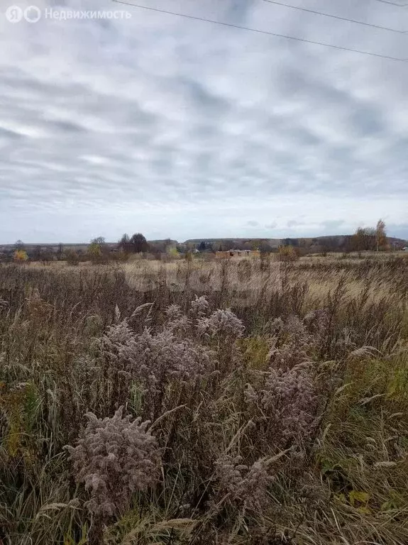 Участок в Калужская область, Бабынинский муниципальный округ, сельское ... - Фото 2