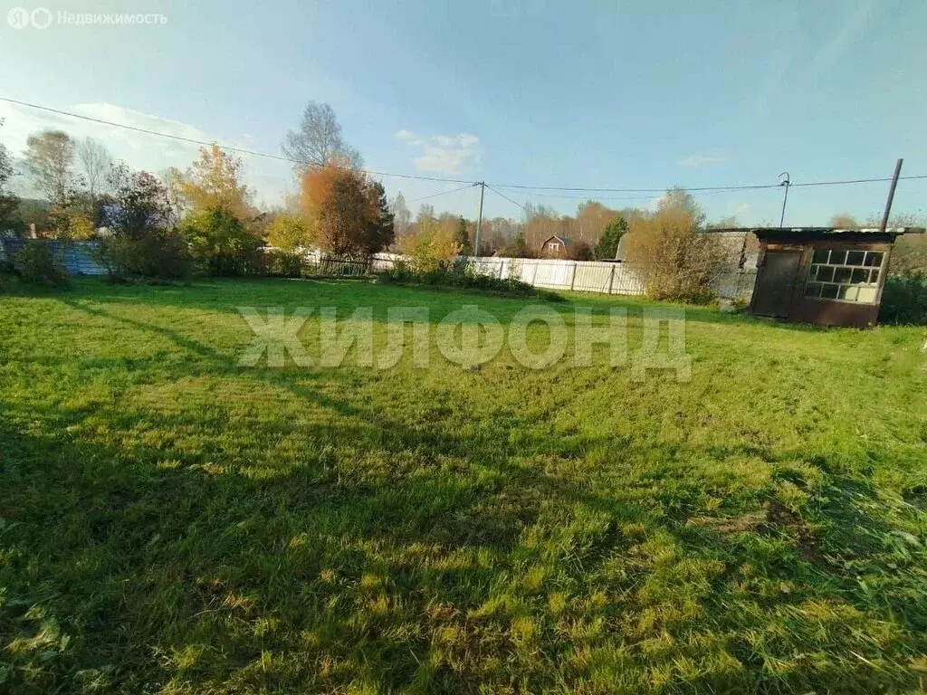 Участок в Раздольненский сельсовет, садовое товарищество Луч (4.09 м) - Фото 2