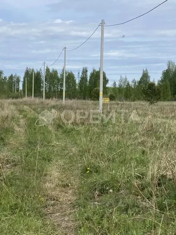 Участок в Тюменская область, Тюменский район, с. Борки ул. ... - Фото 0