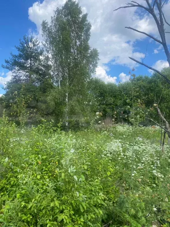 Участок 12 сот. (личное подсобное хозяйство (лпх)) - Фото 1