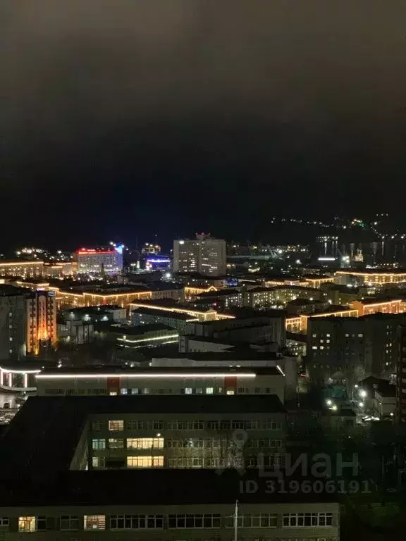 1-к кв. Мурманская область, Мурманск ул. Старостина, 31 (30.0 м) - Фото 2