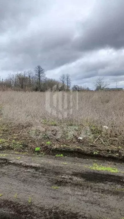 Участок в Воронежская область, Новоусманский район, с. Орлово  (9.0 ... - Фото 2