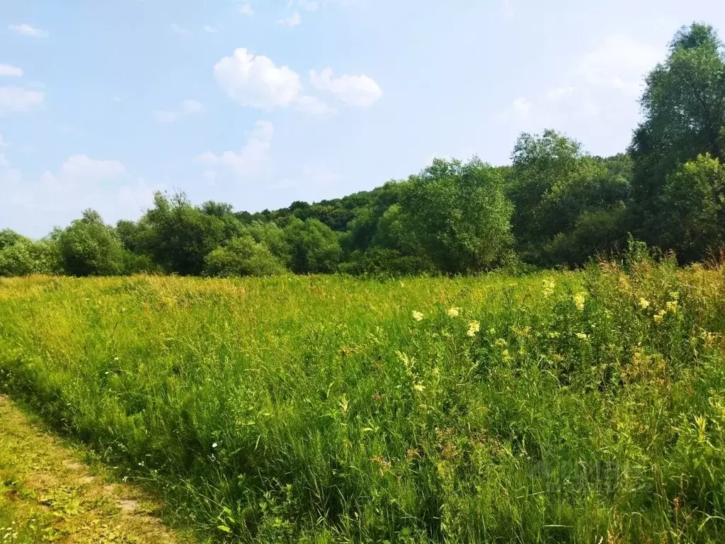 Участок в Тульская область, Ясногорский район, Иваньковское с/пос, д. ... - Фото 2