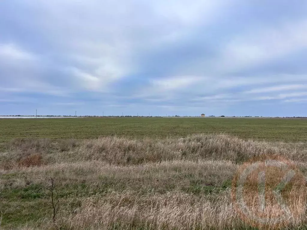 Участок в Крым, Сакский район, Молочненское с/пос, Молочненский ... - Фото 1