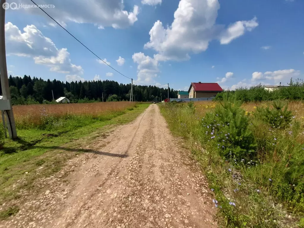 Участок в Ленинское сельское поселение, деревня Большие Сколотни, ... - Фото 1