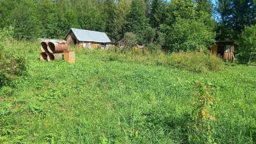 Дом в Пермский край, Пермский муниципальный округ, Родничок садовые ... - Фото 1
