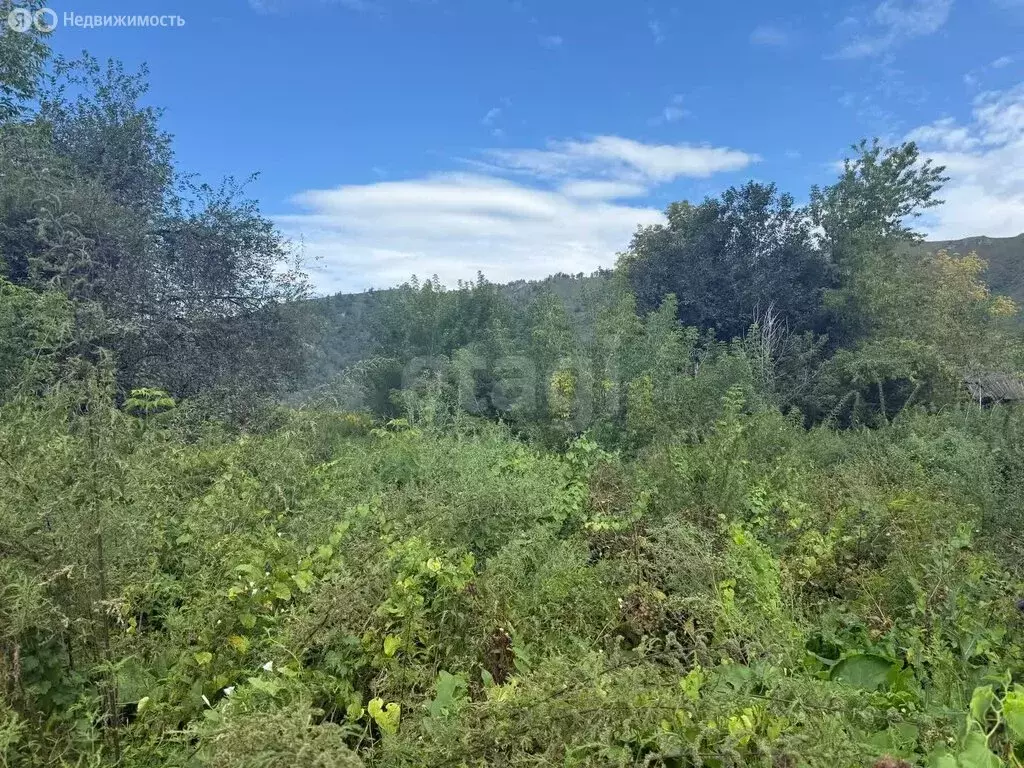 Участок в Манжерок, Алтайская улица (16.9 м) - Фото 1