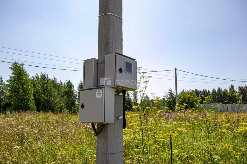Участок в Новосибирская область, Новосибирский район, Станционный ... - Фото 1