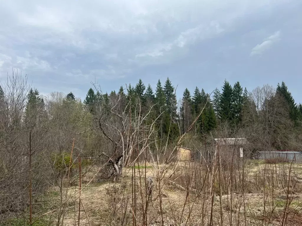 Участок в Московская область, Солнечногорск городской округ, пос. ... - Фото 1
