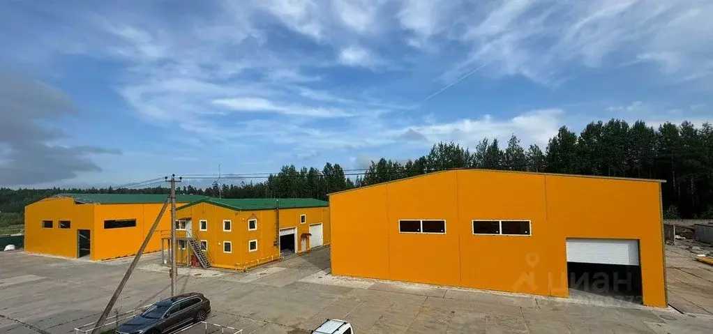 Склад в Ленинградская область, Всеволожский район, Муринское городское ... - Фото 1