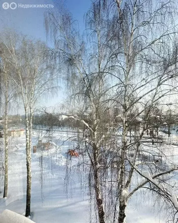 1-комнатная квартира: Муром, улица Кирова, 21 (29.6 м) - Фото 2