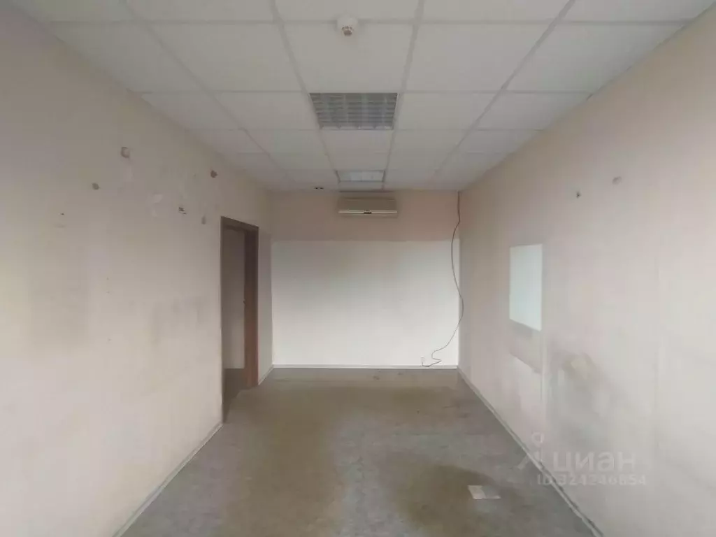 Помещение свободного назначения в Алтайский край, Барнаул ул. ... - Фото 2