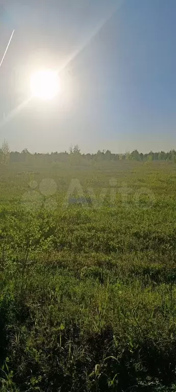 Участок 8 сот. (СНТ, ДНП) - Фото 0