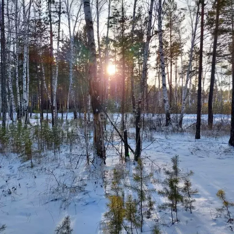 Участок в Забайкальский край, Читинский район, с. Смоленка  (8.1 сот.) - Фото 1