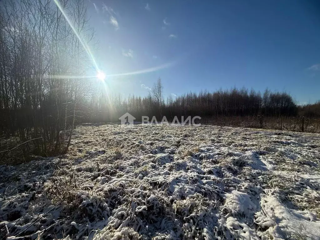 Участок в Московская область, Раменский муниципальный округ, с. ... - Фото 2