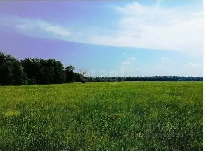 Участок в Башкортостан, Уфимский район, с. Миловка ул. Радужная (9.94 ... - Фото 1