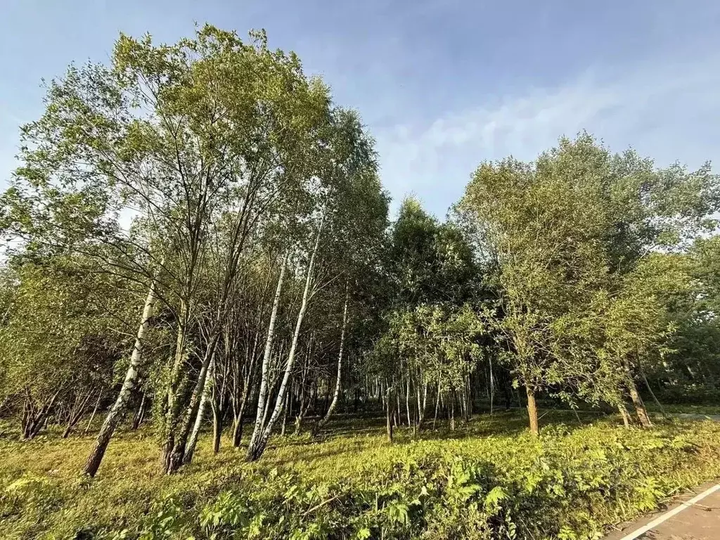 Участок в Московская область, Домодедово городской округ, д. Проводы  ... - Фото 2