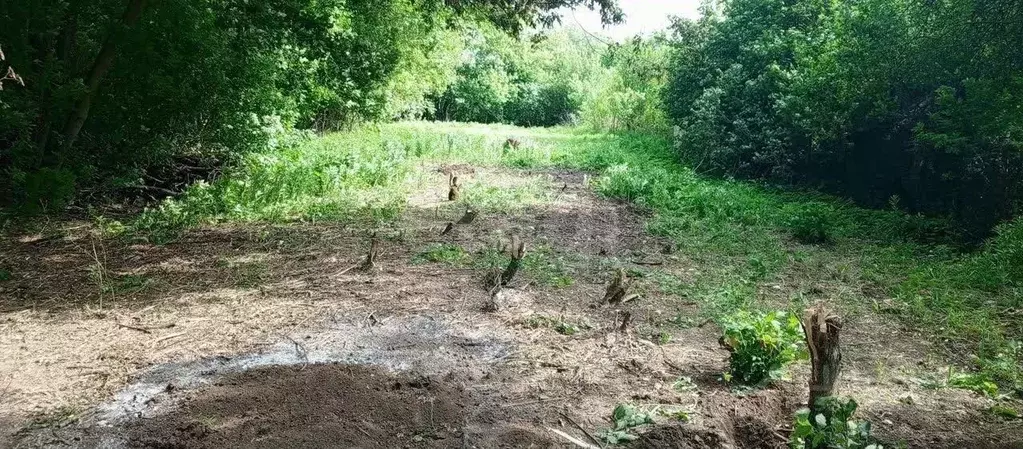 Участок в Тульская область, Тула Пировская ул. (8.6 сот.) - Фото 1