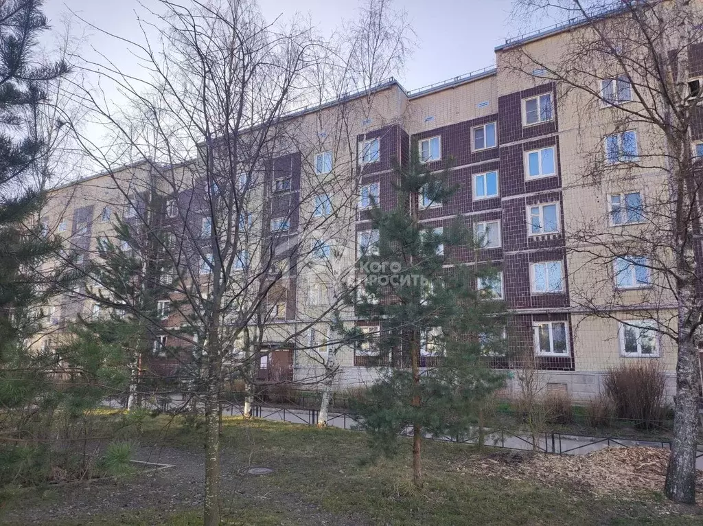 1-к кв. Ленинградская область, Ломоносовский район, д. Низино ... - Фото 1