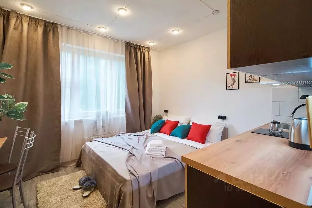 Студия Москва ул. Кадырова, 8К1 (18.0 м) - Фото 2