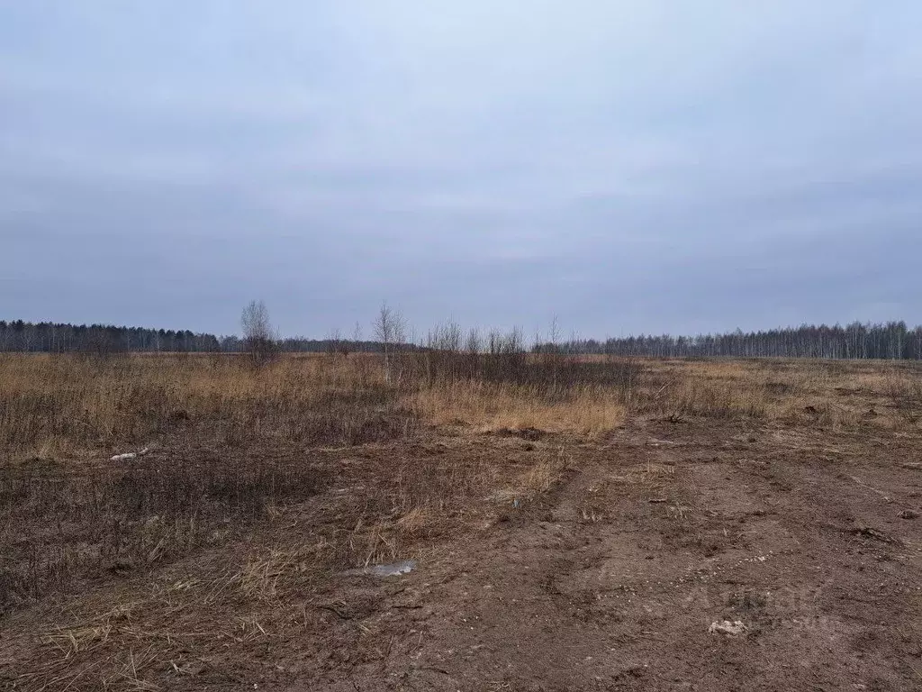 Участок в Московская область, Кашира Ожерелье мкр,  (12.02 сот.) - Фото 0