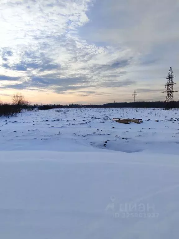 Участок в Новгородская область, Новгородский район, Ермолинское с/пос, ... - Фото 2