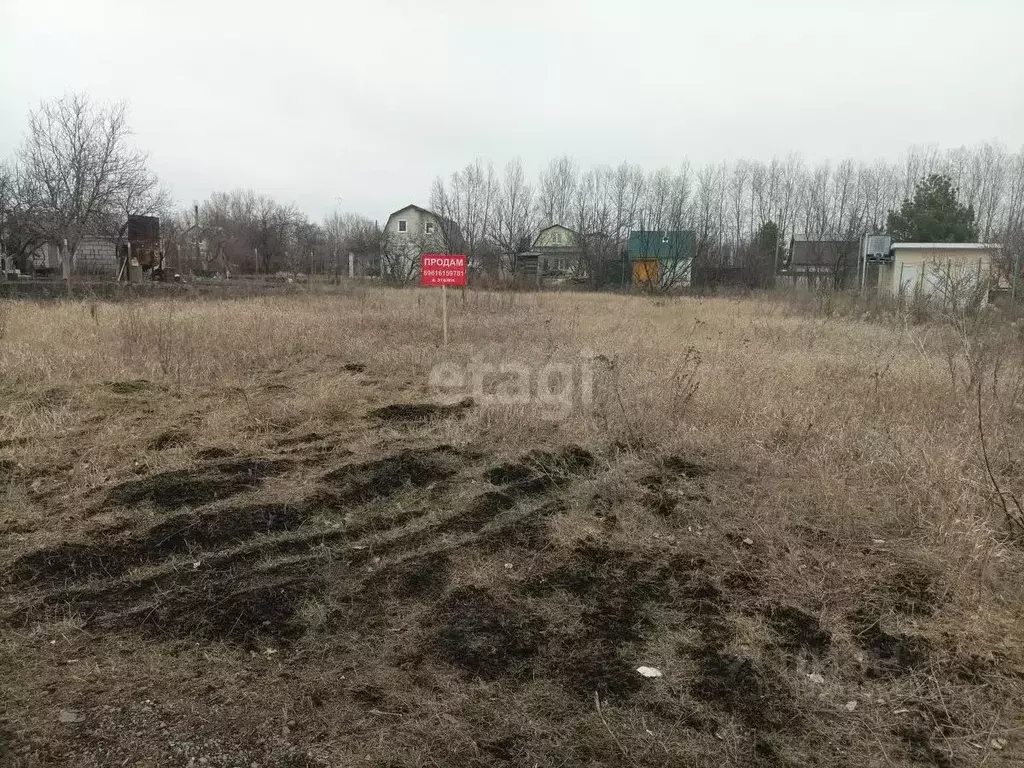 Участок в Воронежская область, Верхнехавский район, Малоприваловское ... - Фото 0