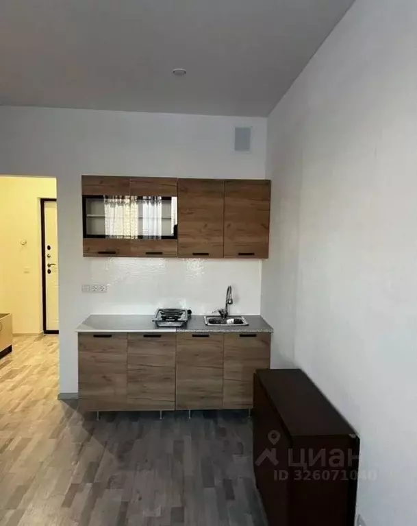 Студия Санкт-Петербург пос. Шушары, просп. Старорусский, 8к2 (24.0 м) - Фото 1