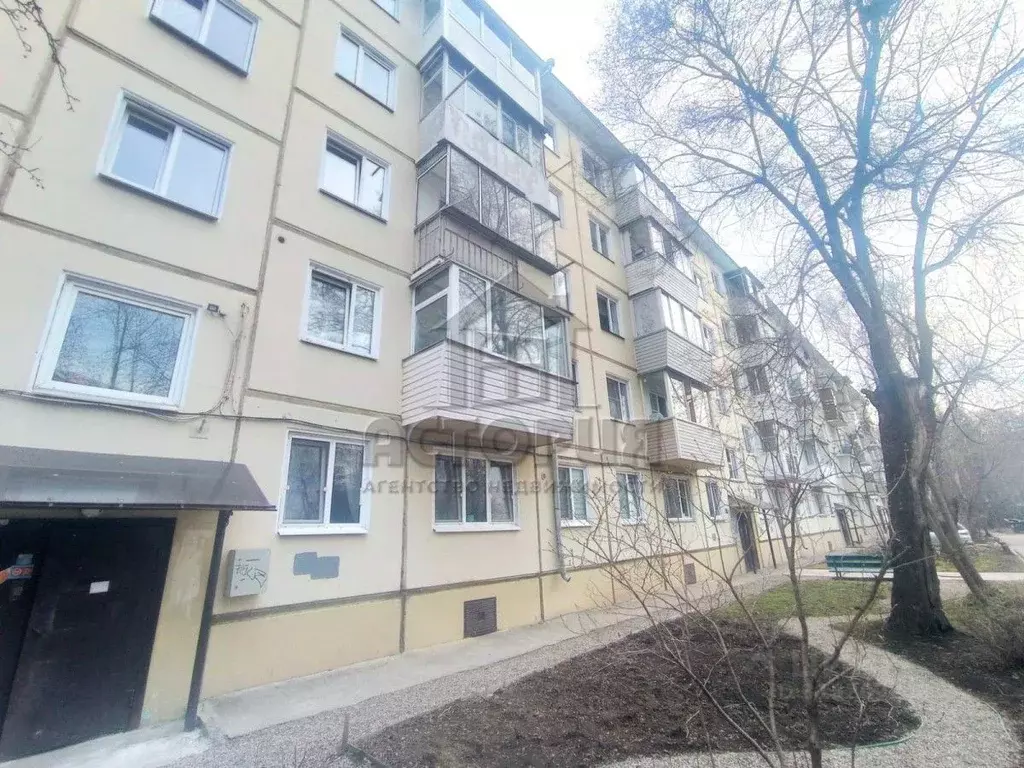 2-к кв. Красноярский край, Красноярск ул. Академгородок, 1 (45.0 м) - Фото 1