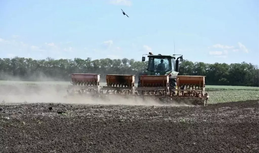 Участок в Ленинградская область, Тосненский район, Любанское городское ... - Фото 1