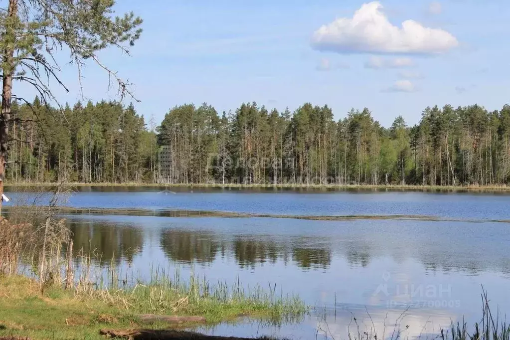 Дом в Новгородская область, Любытинское с/пос, д. Брод 12 (42 м) - Фото 0