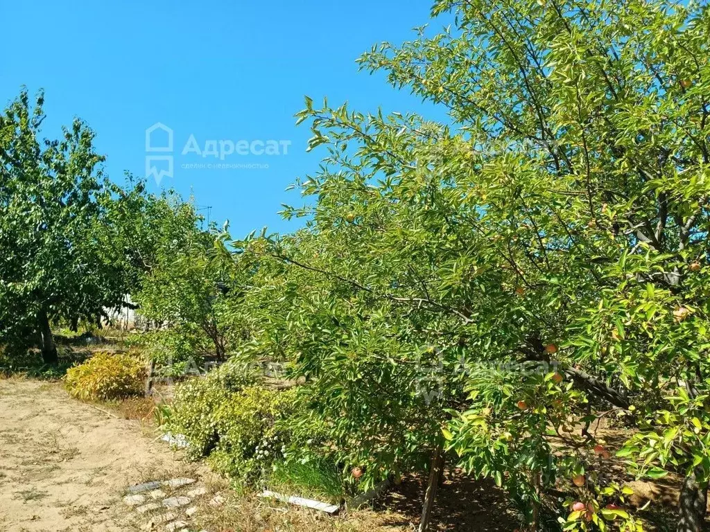 Дом в Волгоградская область, Городищенский район, Ерзовское городское ... - Фото 1