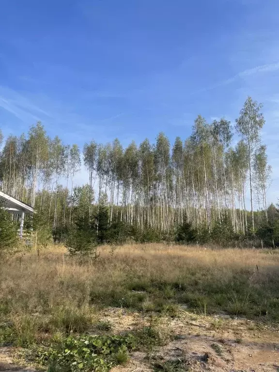 Участок в Московская область, Сергиево-Посадский городской округ, с. ... - Фото 1