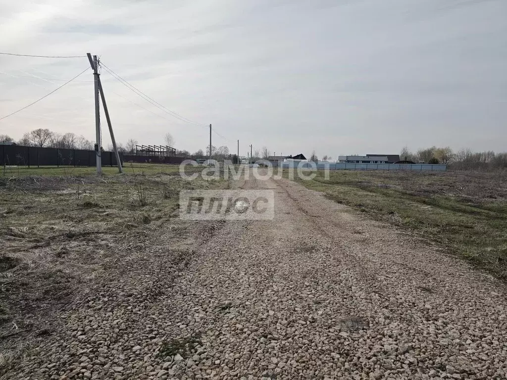 Участок в Рязанская область, Рязанский муниципальный округ, с. Тюшево ... - Фото 2