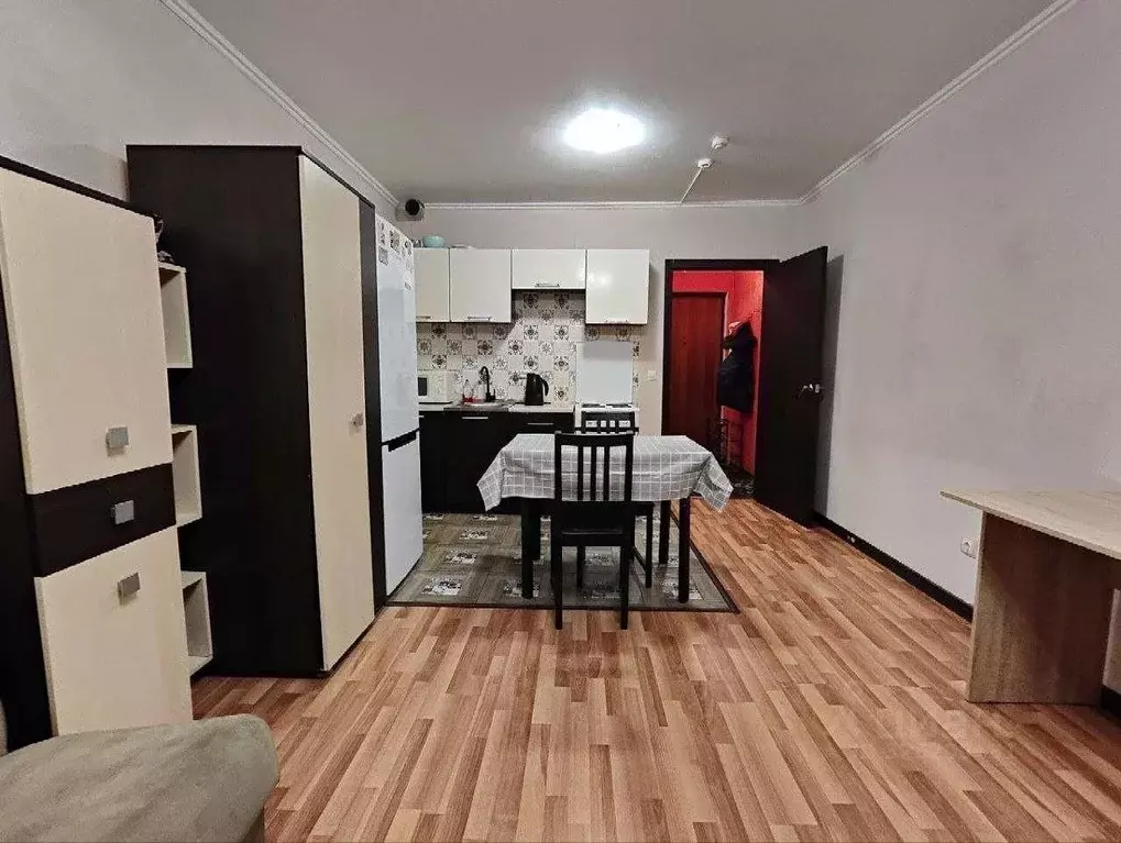 Студия Санкт-Петербург пос. Парголово, Заречная ул., 11к4 (25.0 м) - Фото 2