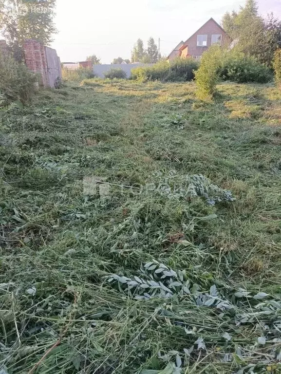 Участок в Новосибирск, СТ Заря-3 (6 м) - Фото 2