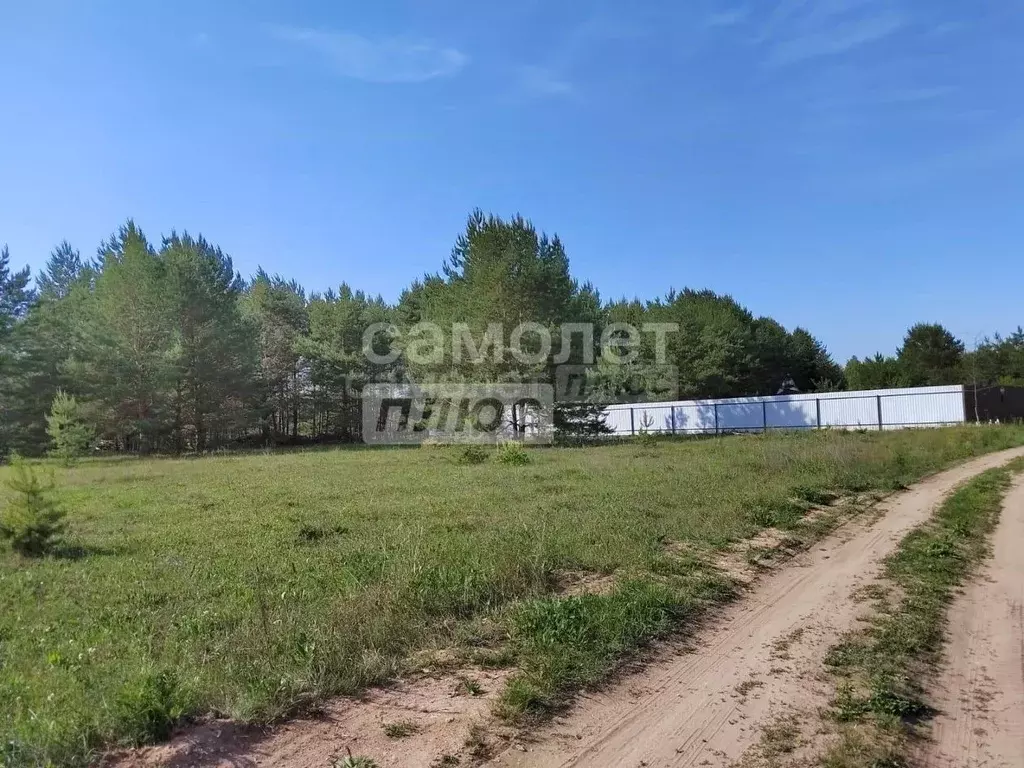 Участок в Калужская область, Дзержинский муниципальный округ, Дворцы ... - Фото 2