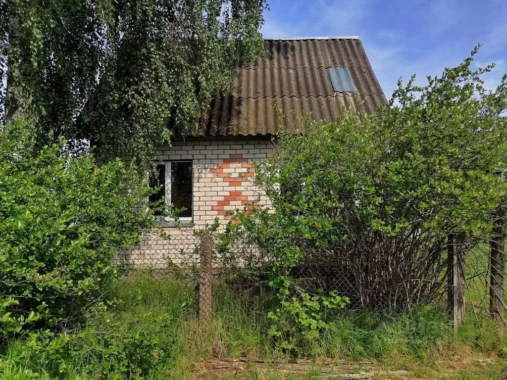 Дом в Псковская область, Псковский район, Ершовская волость, ... - Фото 0